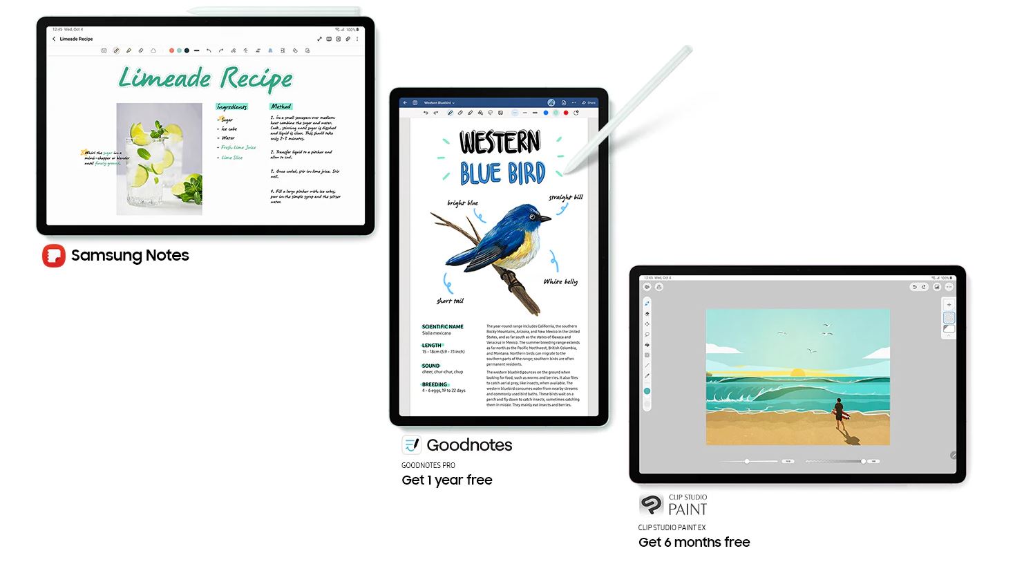 Tablet SAMSUNG Galaxy Tab S9 FE+ SMX610 zelená green