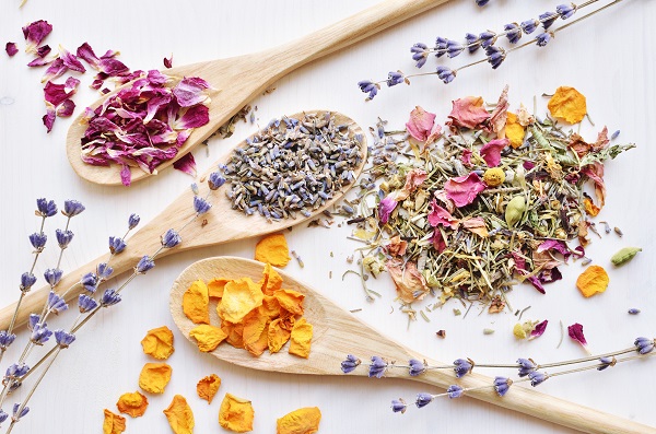 Digitální sušička ovoce CONCEPT SO2000