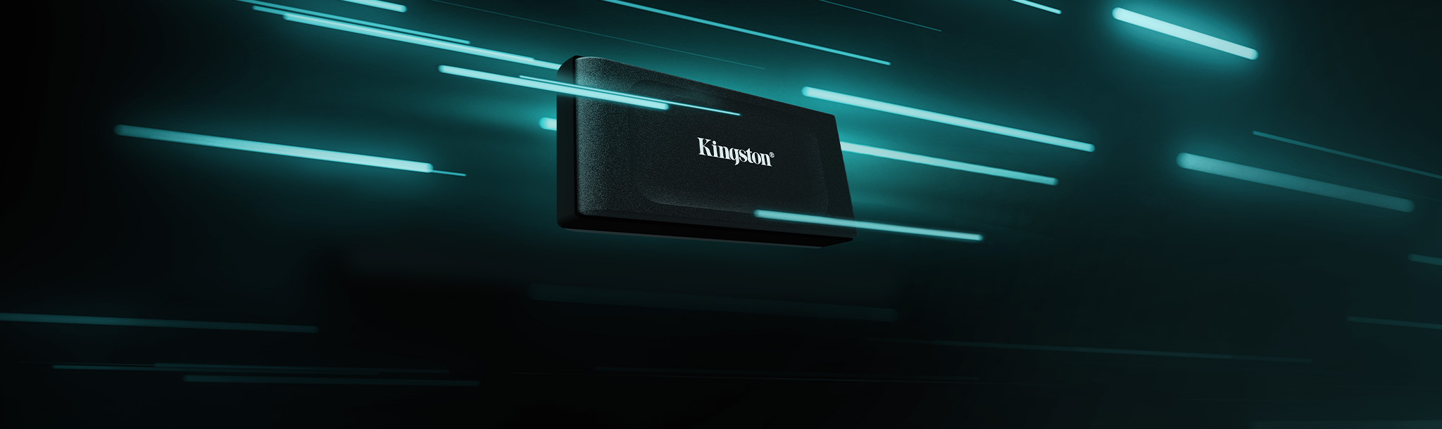 Externí SSD disk KINGSTON XS1000 1TB černá