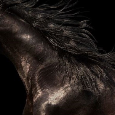 Notebook ASUS Vivobook 16 X1605VAMB1269W