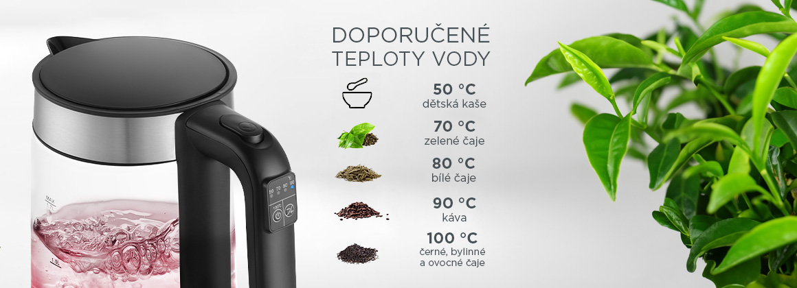 Rychlovarná konvice s regulací teploty CONCEPT RK4067