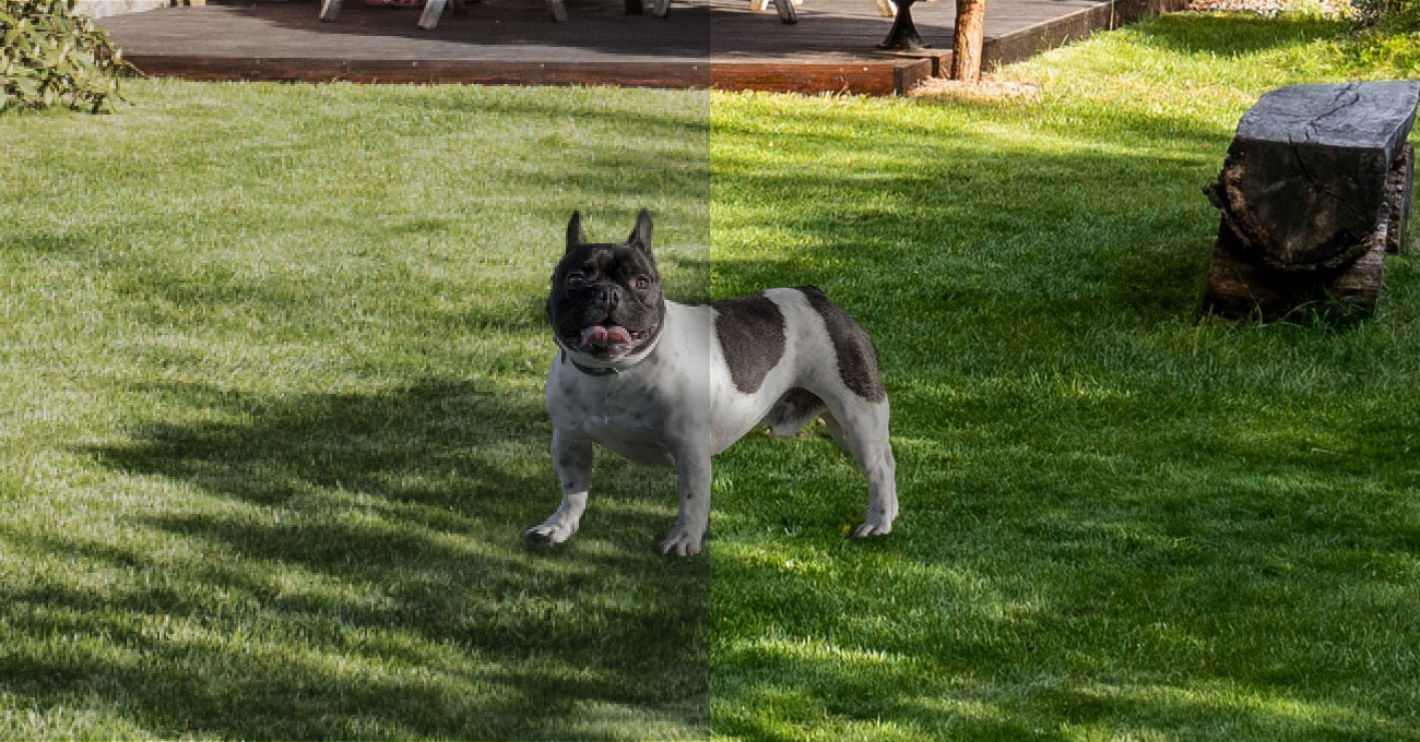 Kamera TPLINK Tapo C4254pack