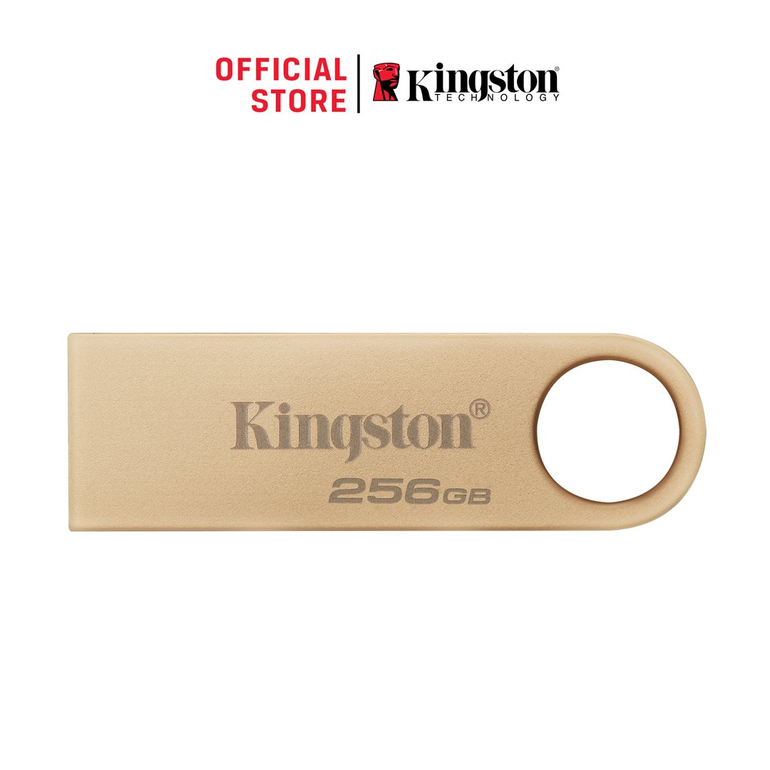 Přenosný flash disk KINGSTON DataTraveler SE9 G3 256GB