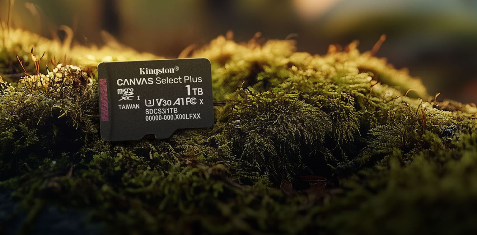 Paměťová karta KINGSTON microSDXC 1TB Canvas Select Plus