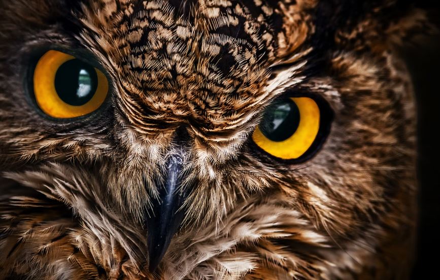 24 LED monitor ACER SH242YEbmihux 238