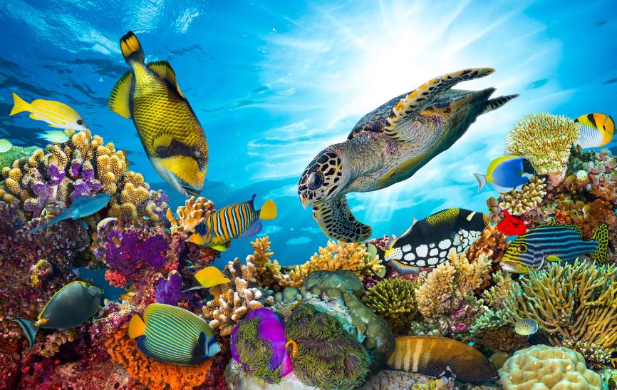 24 LED monitor ACER SH242YEbmihux 238