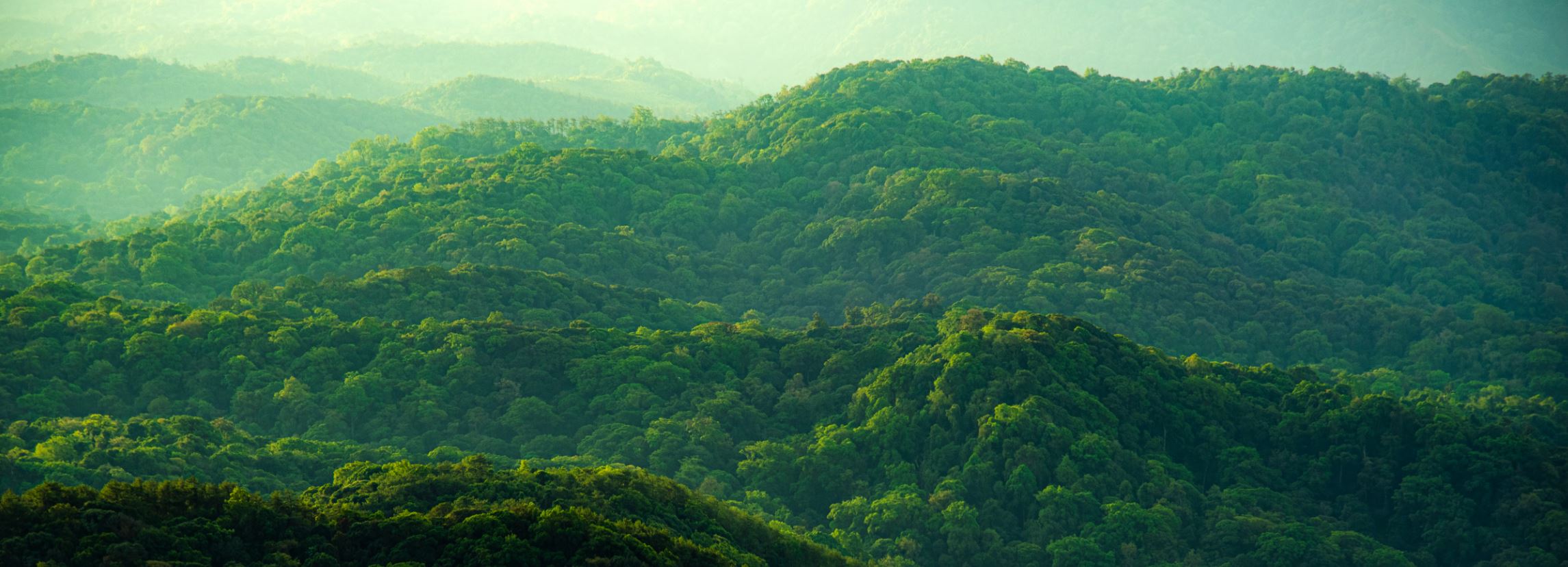 24 LED monitor DELL SE2425HM