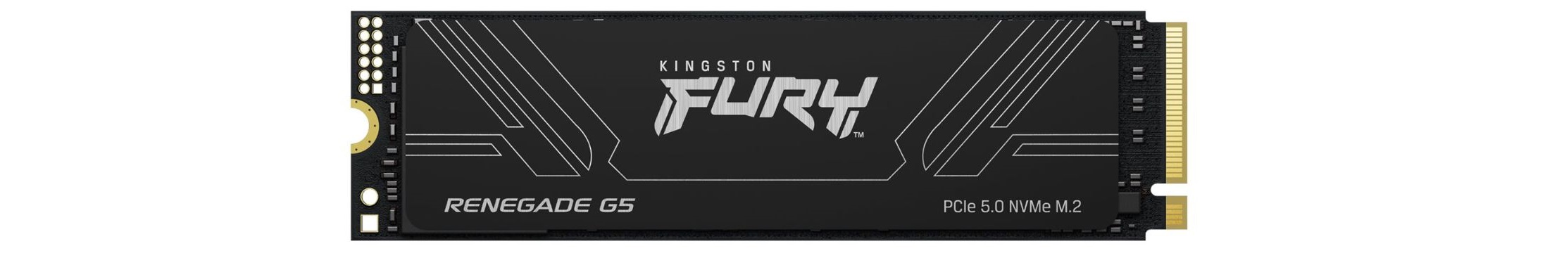 SSD disk KINGSTON Fury Renegade G5 1TB SSD M2 NVMe