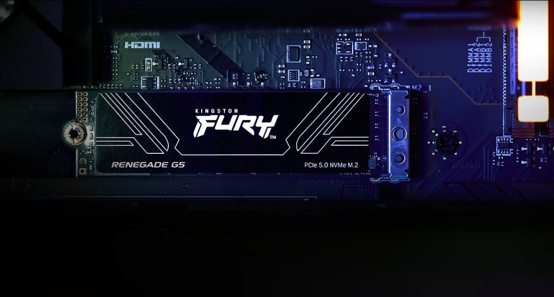 SSD disk KINGSTON Fury Renegade G5 1TB SSD M2 NVMe