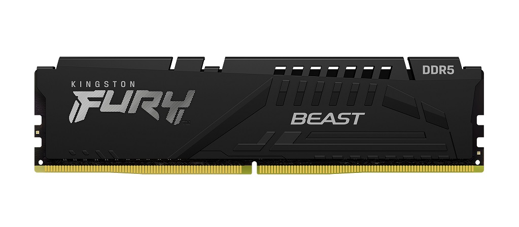 Paměťový modul KINGSTON FURY Beast EXPO DDR5 8GB 5600MHz
