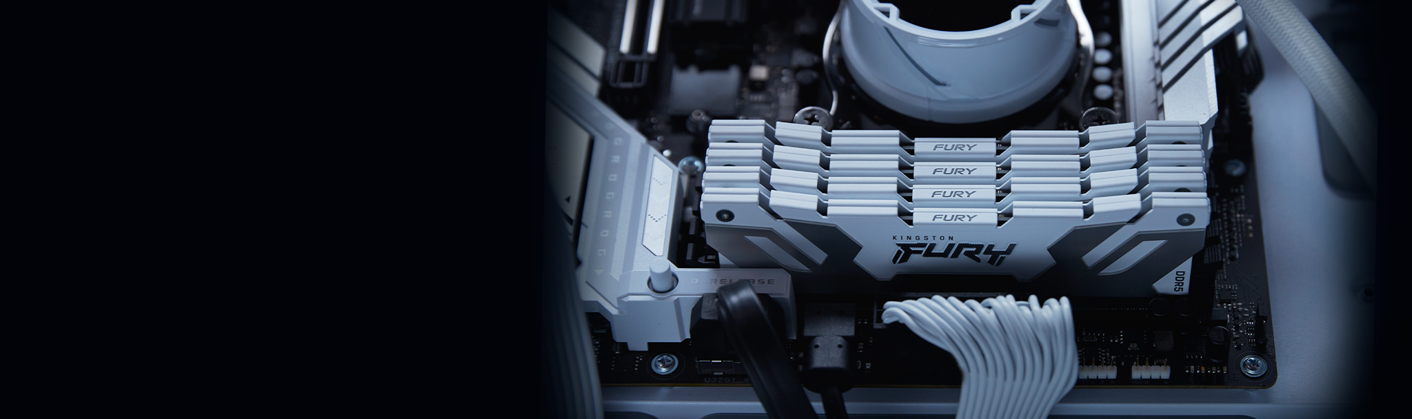 Kingston FURY RenegadeCUDIMM DDR524GB8400MHzCL401x24GBWhite