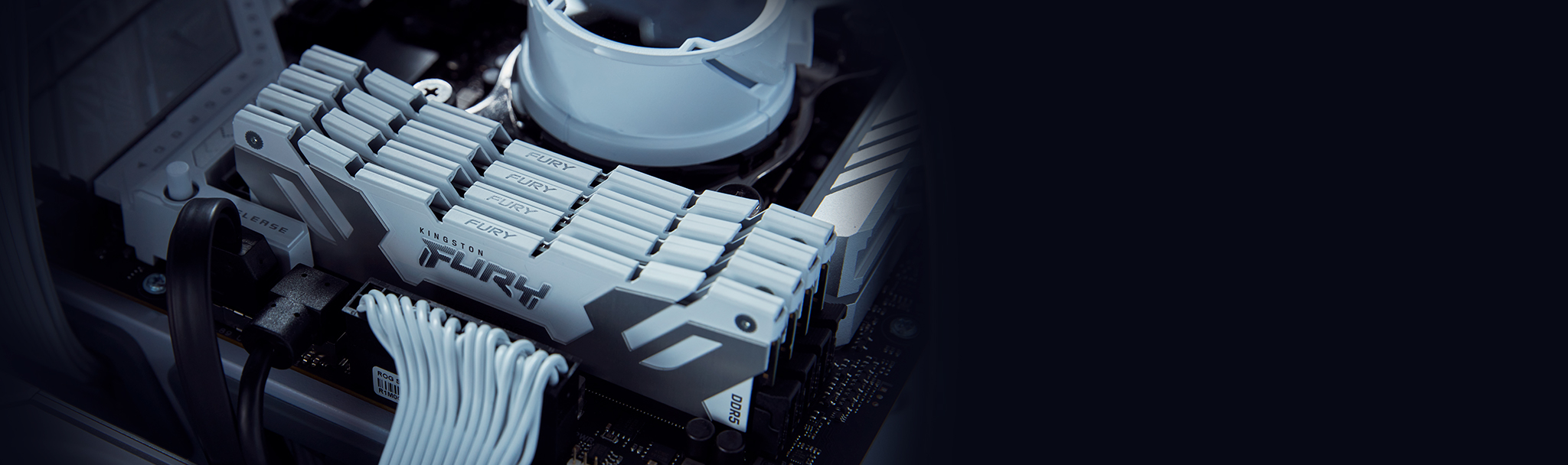 Kingston FURY RenegadeCUDIMM DDR524GB8400MHzCL401x24GBWhite