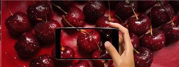 Mobilní telefon XIAOMI Redmi Note 4 64GB CZ LTE černý black