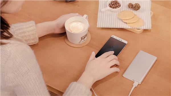 Externí baterie XIAOMI  Powerbank 2 10000mAh stříbrná silver