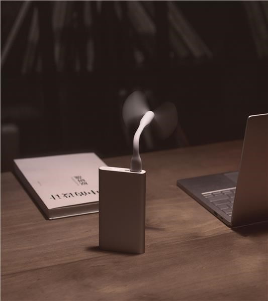 Externí baterie XIAOMI  Powerbank 2 10000mAh stříbrná silver